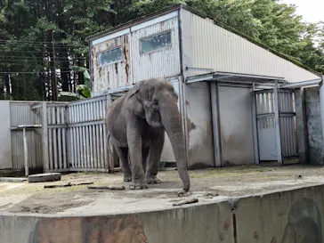 宇都宮動物園に投稿された画像（2026/6/21）