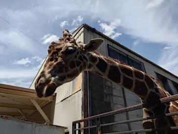 宇都宮動物園に投稿された画像（2026/6/21）