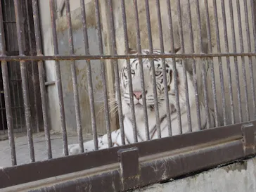 宇都宮動物園に投稿された画像（2026/6/21）