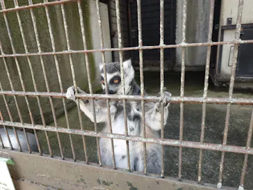 宇都宮動物園に投稿された画像（2026/6/21）