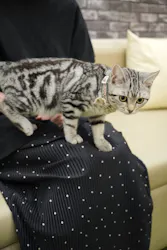 猫カフェモカ イオンモール神戸北店に投稿された画像（2026/6/21）