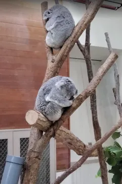 こども動物自然公園（埼玉県公園緑地協会）に投稿された画像（2026/6/21）