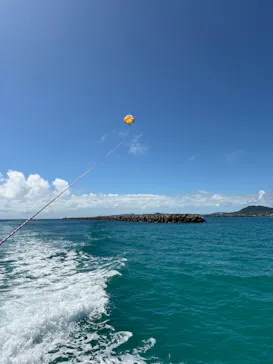 parasailing NOA（パラセーリング  ノア）に投稿された画像（2026/6/21）