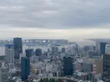 東京タワーに投稿された画像（2026/6/22）