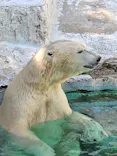 天王寺動物園に投稿された画像（2026/6/22）