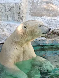 天王寺動物園に投稿された画像（2026/6/21）