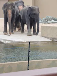 天王寺動物園に投稿された画像（2026/6/21）