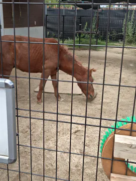 天王寺動物園に投稿された画像（2026/6/21）