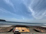 新江ノ島水族館に投稿された画像（2026/6/22）