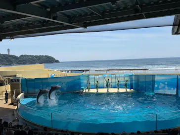 新江ノ島水族館に投稿された画像（2026/6/21）