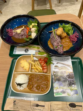 福井県立恐竜博物館に投稿された画像（2026/6/22）