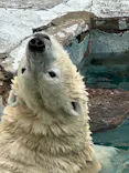 天王寺動物園に投稿された画像（2026/6/22）