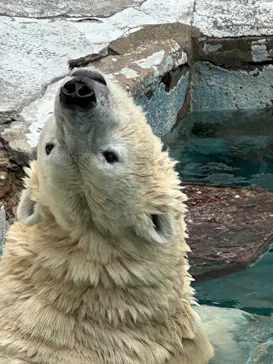 天王寺動物園に投稿された画像（2026/6/22）