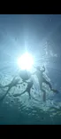 武藤潜水に投稿された画像（2026/6/22）