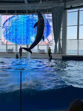 アクアワールド茨城県大洗水族館に投稿された画像（2026/6/22）