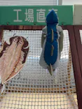 伊豆・三津シーパラダイスに投稿された画像（2026/6/22）