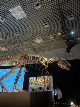 国立科学博物館に投稿された画像（2026/6/22）