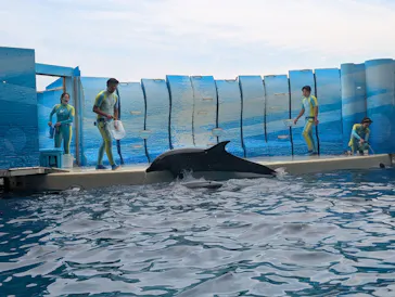新江ノ島水族館に投稿された画像（2026/6/22）