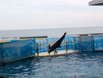 新江ノ島水族館に投稿された画像（2026/6/22）