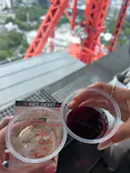 東京タワーに投稿された画像（2026/6/22）