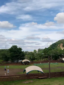 わんダフルネイチャーヴィレッジに投稿された画像（2026/6/22）