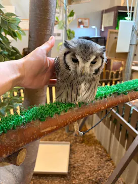 Moff animal cafe イオンモール幕張新都心店に投稿された画像（2026/6/22）
