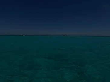 BLUE SPACE（ブルースペース）に投稿された画像（2026/6/22）