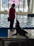 アソビュー！ポイントに投稿された画像（2026/6/22）