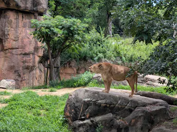 天王寺動物園に投稿された画像（2026/6/22）