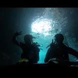 武藤潜水に投稿された画像（2026/6/23）