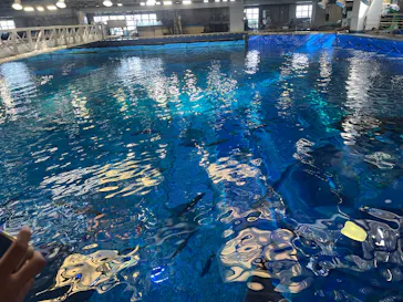 沖縄美ら海水族館（館内体験）に投稿された画像（2026/6/23）
