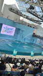 横浜・八景島シーパラダイスに投稿された画像（2026/6/23）