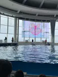 アクアワールド茨城県大洗水族館に投稿された画像（2026/6/23）