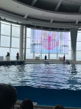 アクアワールド茨城県大洗水族館に投稿された画像（2026/6/23）