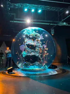 AQUARIUM × ART　atoa×神戸どうぶつ王国に投稿された画像（2026/6/23）