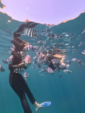 DIVING-SHOP SUNSに投稿された画像（2026/6/23）