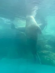 大分マリーンパレス水族館 「うみたまご」に投稿された画像（2026/6/23）