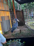 恩賜上野動物園に投稿された画像（2026/6/23）