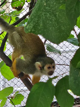 宇都宮動物園に投稿された画像（2026/6/23）
