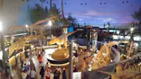 福井県立恐竜博物館に投稿された画像（2026/6/23）