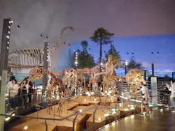 福井県立恐竜博物館に投稿された画像（2026/6/23）