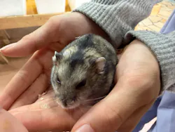 いきもの探検隊上尾に投稿された画像（2026/6/23）