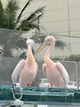 サンシャイン水族館に投稿された画像（2026/6/24）