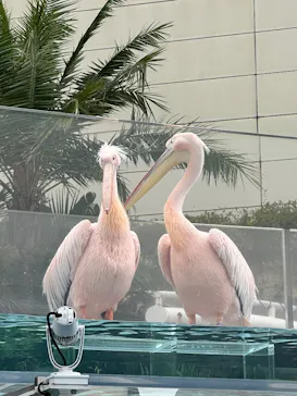 サンシャイン水族館に投稿された画像（2026/6/23）