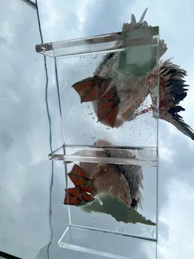 サンシャイン水族館に投稿された画像（2026/6/23）