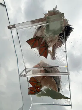 サンシャイン水族館に投稿された画像（2026/6/23）