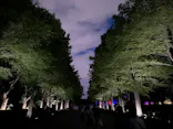 チームラボ ボタニカルガーデン 大阪に投稿された画像（2026/6/24）