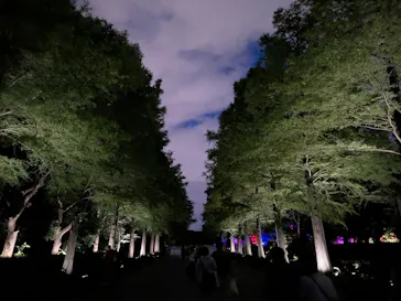 チームラボ ボタニカルガーデン 大阪に投稿された画像（2026/6/23）