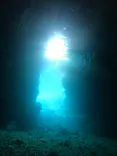 武藤潜水に投稿された画像（2026/6/24）