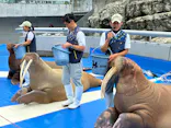大分マリーンパレス水族館 「うみたまご」に投稿された画像（2026/6/24）